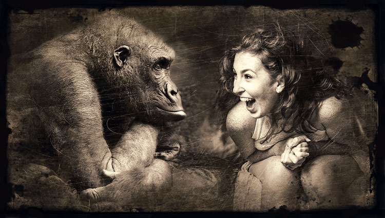 Bild Affe Frau Bild Affe Frau